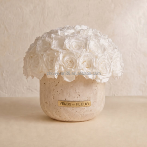 Bouquet di Rose Bianche Stabilizzate <span class=keywords><strong>in</strong></span> <span class=keywords><strong>Vaso</strong></span> di Terracotta, Rose Eterne all'Ingrosso per Decorazioni Domestiche - Product Image 1