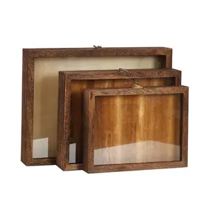 Insect Specimen Shadow Box Frame Shadow Box Display with Acrylic Shadow Box Display case Open on Front for Shell