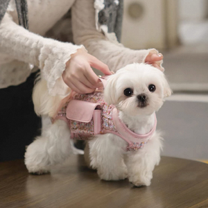 Vendita calda di buona qualità elegante trasportino portatile a spalla per cani di piccola taglia ideale per uso esterno - Product Image 1