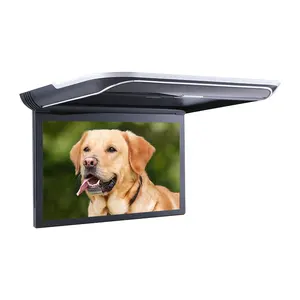 11.6inch Car Manual Flip Down Roof TV Car HDMl USB FM 2 Video Input 1 Audio Output Ceiling TV Monitor 1080P Video Display
