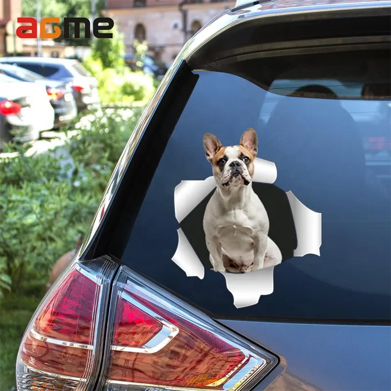 Multiple Auto decal printing car door cat eye car animals stickers 3d funny decal stickers for dog car decal sticker