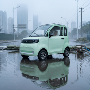 Véhicule électrique compact certifié CEE à deux portes et deux places pour les trajets urbains, les déplacements intra-urbains et la mobilité personnelle - Product Image 3