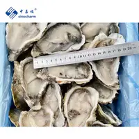 Sinocharm BRC approvato 10-12cm congelato senza sabbia frutti di mare IQF mezza conchiglia ostrica congelata ostrica