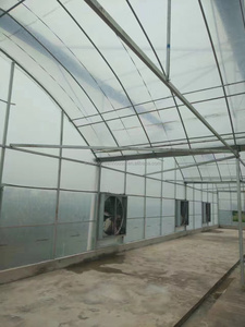 Agricultural <strong>Greenhouse</strong> <strong>Export</strong> Multi Span Dome Film <strong>Greenhouse</strong> - Product Image 2