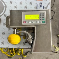 Hoge Efficiëntie Automatische Fruit Schilmachine Commerciële Elektrische Schiller voor Sinaasappel Citroen Appel Kiwi Voedselverwerking