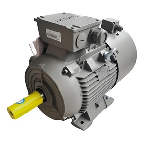 มอเตอร์สามเฟส 90 แรงม้า รุ่น Innomotics มอเตอร์เหนี่ยวนำแบบอะซิงโครนัส มอเตอร์ไฟฟ้ากระแสสลับ 3 เฟส ราคาโรงงาน มอเตอร์ปั๊มน้ำ - Product Image 5