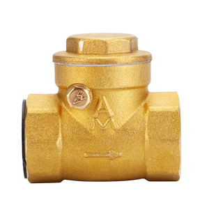 Válvula de Retención de Latón NPT DN15 25 con Cuerpo Reforzado, Producto de la Mejor Calidad - Product Image 5