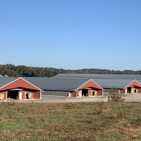 Poulaillers en métal bon marché à construction rapide, abris préfabriqués pour poulets, bâtiments de ferme avicole