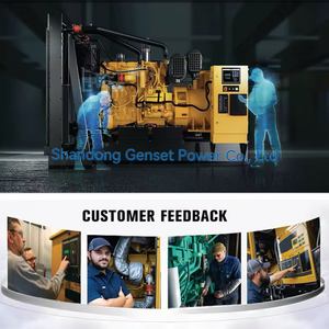 Generador de Biogás de 400kw Monofásico, <span class=keywords><strong>Precio</strong></span> de Fábrica, para Minería, Alta Eficiencia - Product Image 6