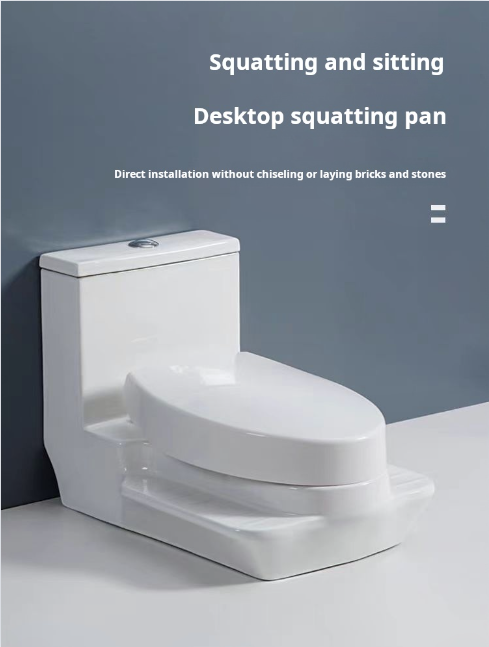 toilet squatting