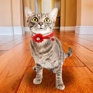 Set di 3 collari regolabili per cani e gatti, confortevoli, 16-32 cm - Product Image 2