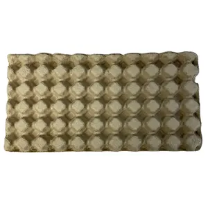 PT PACK diaposable quail egg tray pulp paper biodegradable egg tray composable