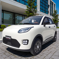 Pour Changli 2025 Mini voiture électrique à quatre roues à moteur élevé pour adultes moteur total manuel 60v carrosserie fermée voiture électrique bon marché