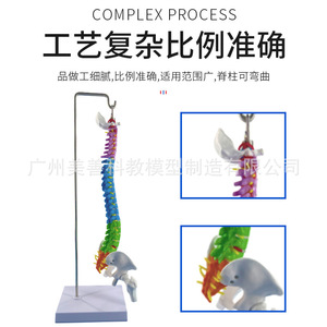 45CM - Product Image 3