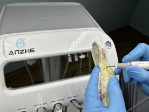 Portable Pet <strong>Dental</strong> Treatment Machine Mobile Veterinary <strong>Dental</strong> <strong>Unit</strong> Scaler Handpiece Foot Control Veterinary <strong>Dental</strong> Cart - Product Image 3