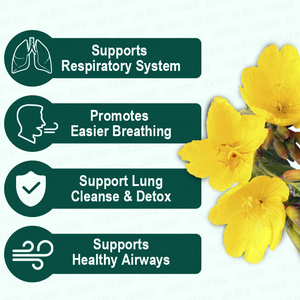 ชาใบมัลลีนผสมสมุนไพรปอดสำหรับผู้ชายและผู้หญิง - Product Image 3