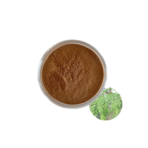 Extrato de Planta <span class=keywords><strong>Moringa</strong></span> <span class=keywords><strong>Oleifera</strong></span> de Alta Pureza 500g Grau Alimentício Concentração 30:1 Suplemento Vitamínico Premium em Embalagem de Tambor - Product Image 1