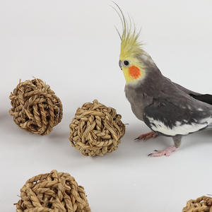 Natural Grass Ball Takraw Ball Papagei Gnaws Dekompression Lernspiel zeug Spezielle Vogels pielzeug zubehör für Hunde und Katzen - Product Image 3