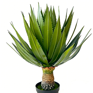 <span class=keywords><strong>Agave</strong></span> Artificial <span class=keywords><strong>Grande</strong></span> de 120 cm con 56 Hojas, Árbol Antiguo con Espinas, Banda Azul, Cactus Artificial en Maceta de Plástico Negra, Decoración de Piso para el Hogar - Product Image 3