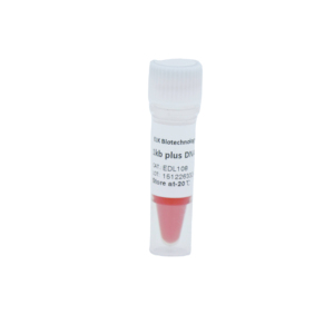 Échelle ADN 1 <span class=keywords><strong>Kb</strong></span> 100bp-10000bp - Product Image 1