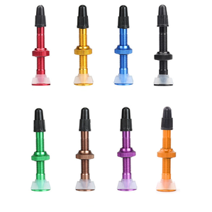 23065 40/60mm vtt <span class=keywords><strong>vélo</strong></span> soupape à vide FV étendu <span class=keywords><strong>vélo</strong></span> <span class=keywords><strong>Tubeless</strong></span> Presta <span class=keywords><strong>Valve</strong></span> - Product Image 1