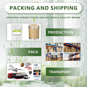 Vente chaude 25 kg Tambour Emballé <span class=keywords><strong>E415</strong></span> De Qualité Alimentaire Xanthane Gomme Poudre Additifs Alimentaires Épaississants Stabilisateurs Émulsifiant - Product Image 4