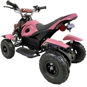 HJ-YED500 piccolo quad bike atv per adulti per il deserto e la montagna quattro ruote Mini ATV 36V/500W potenza del motore