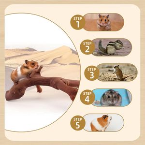 Holz-Kletterzweige für Hamster, Natürliche Holzspielzeuge zum Klettern und Kauen für Syrische Hamster, Übungsspielzeug für Ratten - Product Image 5