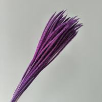 Bunga Rumput Kylin Kering Terawetkan Warna Kuning Emas, Rumput Foxtail, Rumput Horsetail, Rumput Pampas Mengembang, untuk Pernikahan Boho, Hari Ibu