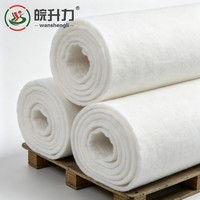 Géotextile à haute perméabilité en fibres aiguilletées WSL pour le drainage des sols et la prévention de l'érosion des pentes de digues de canaux