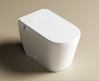 WC intelligent allongé le plus populaire avec fonction de lavage automatique, thérapie infrarouge et chasse d'eau automatique à bascule, certifié CUPC