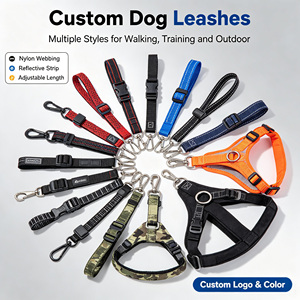 Conjunto de Collares y Correas Personalizados para Mascotas, Correa para Perro con Hebilla Ajustable, Correa Impermeable para Perros, para Pasear y Entrenar - Product Image 1