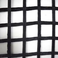 Geogrid de Poliéster GEOROAD para Estabilización de Suelos, Refuerzo de Carreteras y Ferrocarriles, Resistencia a la Tracción de 20-1000KN/m