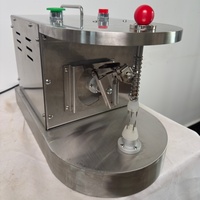 Petite machine à éplucher les agrumes en acier inoxydable pour les fruits commerciaux, pour les citrons, les oranges, les pommes, les kiwis, etc.
