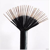 IEC-Zertifiziertes Bergbaukabel MKVV/MKVV32 0,75-10mm Steuerkabel Kupfergeflecht-Abschirmung Anti-Interferenz für Untertageförderer