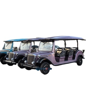 Autos Clásicos de Lujo Color Púrpura, Autos Utilitarios Nuevos de 11 Asientos, Auto Eléctrico Vintage Antiguo para Turismo en Venta - Product Image 1