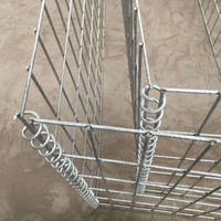 Fournisseur d'usine : Gabion soudé galvanisé à chaud 50 x 100 mm pour l'aménagement paysager et la décoration de jardin