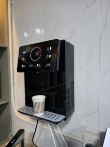 OEM Hot Water Dispenser Machine <b>Wall</b>-<b>Mounted</b> <b>Table</b> Stand Domestic Equipment Quick Heat Pipeline for Home Use Instant Dual Instal - Product Image 1