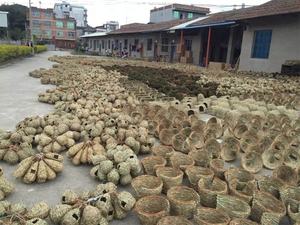 Zakken Voor Vogels. Vogeldoos. Gras Vogel Huis - Product Image 4