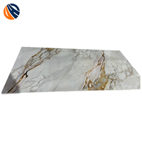 Panneau PVC effet miroir UV marbré, étanche, moderne, 1200x2400mm, pour hall d'ascenseur de bâtiment commercial et salon d'hôtel