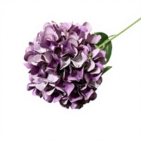 Hortensia Artificial Recubierta en Forma de Piruleta, Rama Individual, para Ceremonias de Boda, Fotografía al Aire Libre, Decoración de Salones, Arreglos Florales