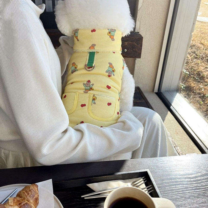 สีเหลือง