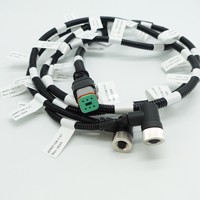 Arneses de Cableado Electrónico Personalizados con Aislamiento de PVC/Goma, Clasificación IP66, Ensamblaje de Cables OEM ODM para Electrodomésticos y Máquinas