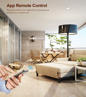 SLS Tuya ZigBee 1 Gang Contrôle 2 voies DIY Smart Breaker Relais 10A Gradateur Module d'interrupteur de lumière pour Alexa Commutateurs de télécommande