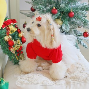 Pet clothing <b>bow</b>-knot mesh skirt, skin-friendly and comfortable, suitable for small and medium-sized dogs, <b>red</b> polyester. - Product Image 3