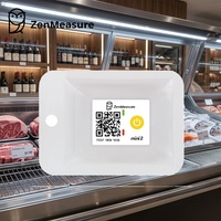 ZenMeasure Enregistreur de température jetable à conception fine, à usage unique, pour la logistique de la chaîne du froid des colis et enveloppes, instruments de mesure de température