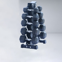 Équipement de fitness 3 niveaux support d'haltères vertical stockage Gym maison support d'haltères avec poids
