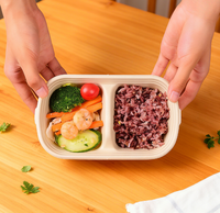 ECO 100% Biologisch afbreekbaar wegwerp servies, afhaallocatie doos, op maat bedrukt rechthoekig bagasse saladekom met bagasse/PET/PP deksel