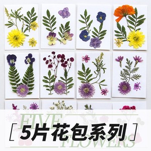 Nouveau produit <span class=keywords><strong>fleurs</strong></span> de pression de <span class=keywords><strong>fleurs</strong></span> <span class=keywords><strong>séchées</strong></span> bricolage matériel sac <span class=keywords><strong>livre</strong></span> signe, tic-tac colle étui de téléphone portable spécimen de plante créatif - Product Image 2