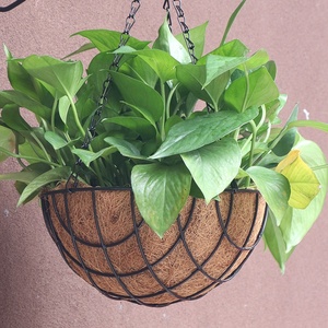 Maceta Colgante Económica y Ecológica de <span class=keywords><strong>Fibra</strong></span> de Cáscara de Coco <span class=keywords><strong>Natural</strong></span> para Uso Doméstico - Product Image 2